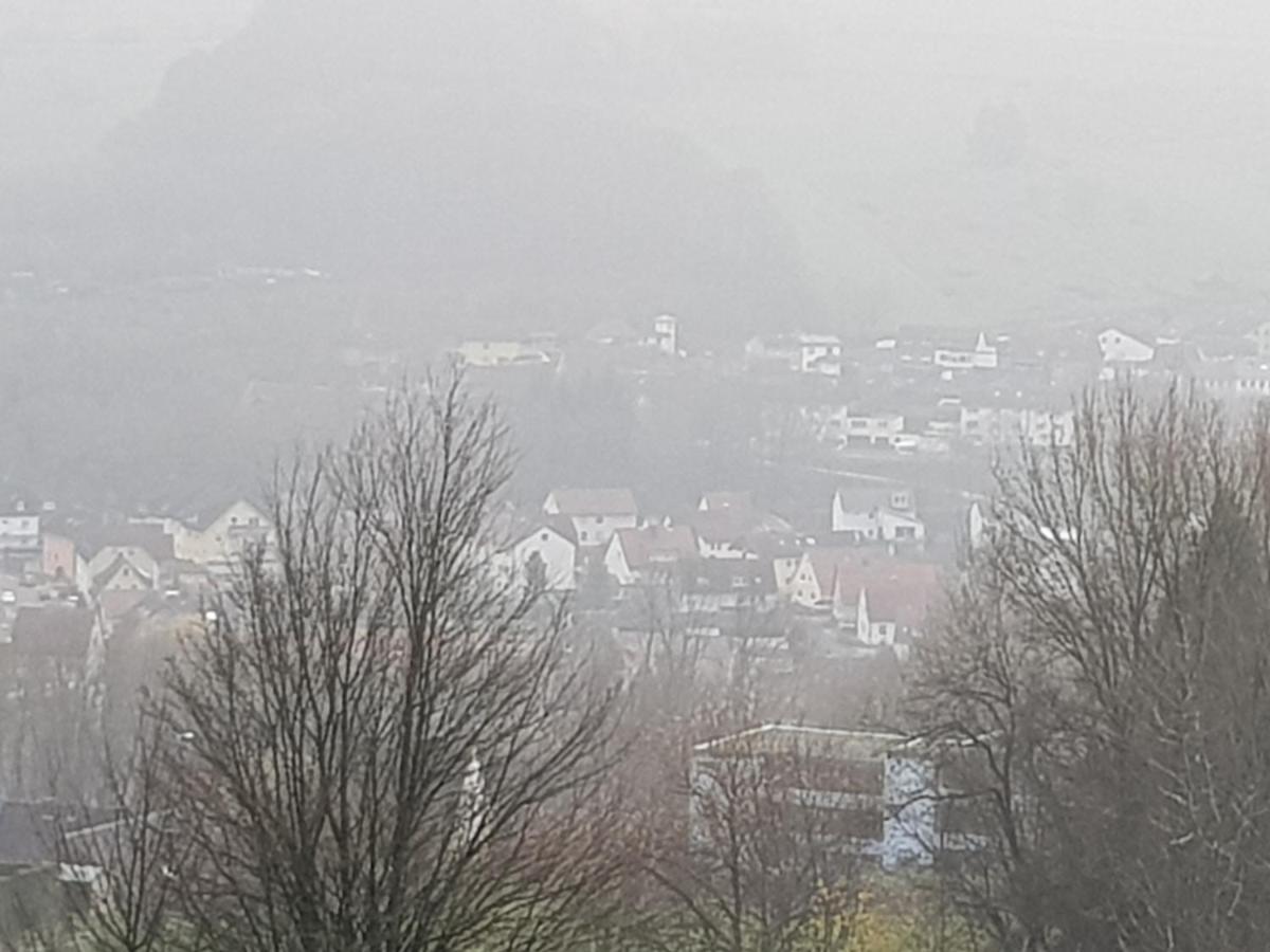 Ferienwohnung "Hagebutze" Mit Sauna Und Schwimmbad Bad Lauterberg Exterior foto