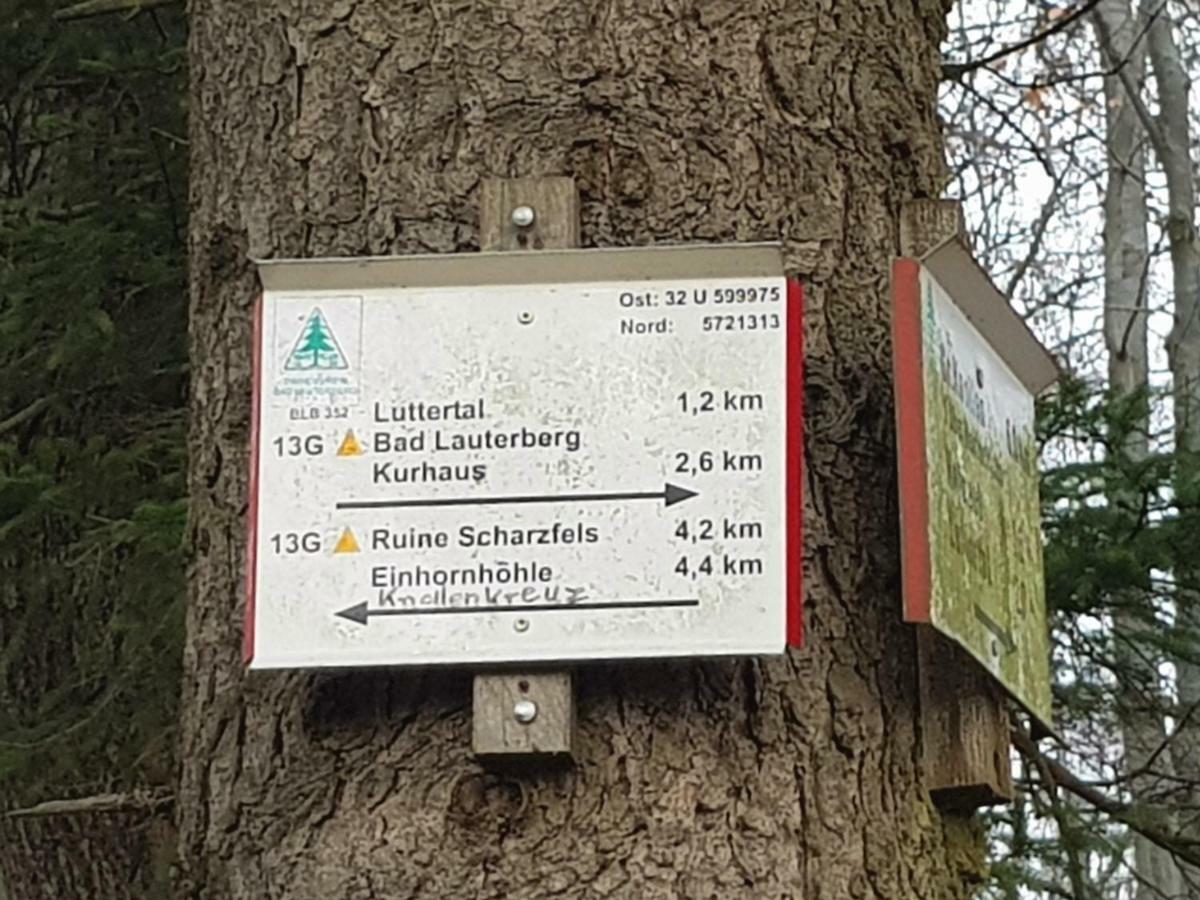 Ferienwohnung "Hagebutze" Mit Sauna Und Schwimmbad Bad Lauterberg Exterior foto